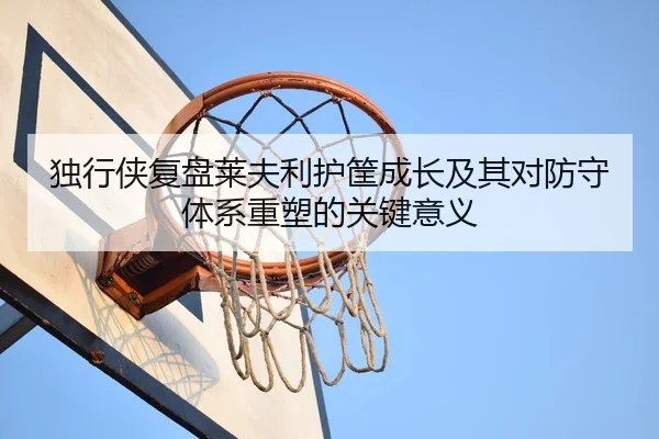 独行侠复盘莱夫利护筐成长及其对防守体系重塑的关键意义